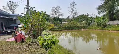 image_rental-31607751