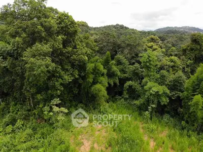 Lush green forested land with dense trees and open grassy area, ideal for nature lovers.