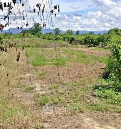 Screenshot 2025-12-19 205706.png