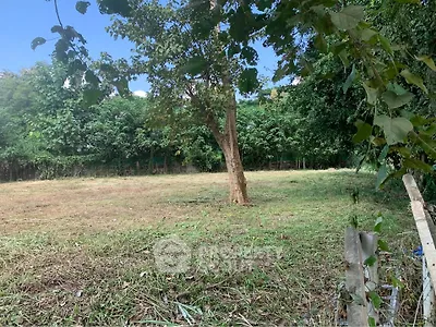 Spacious green plot with lush trees, perfect for building your dream home or investment property.
