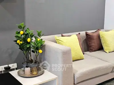 Modern living room with stylish sofa and decorative plant for a cozy ambiance.