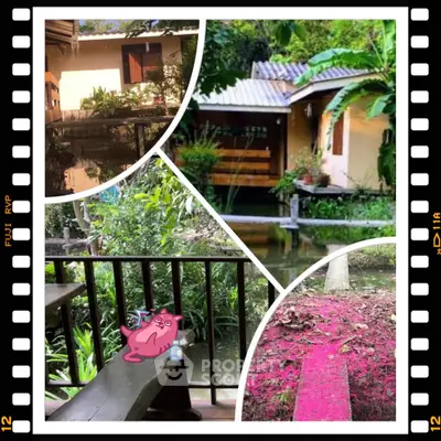 Charming garden view with rustic house and lush greenery, perfect for nature lovers.