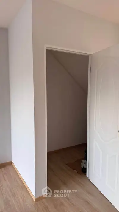 Minimalist interior with open door leading to a small storage space, featuring light wood flooring.