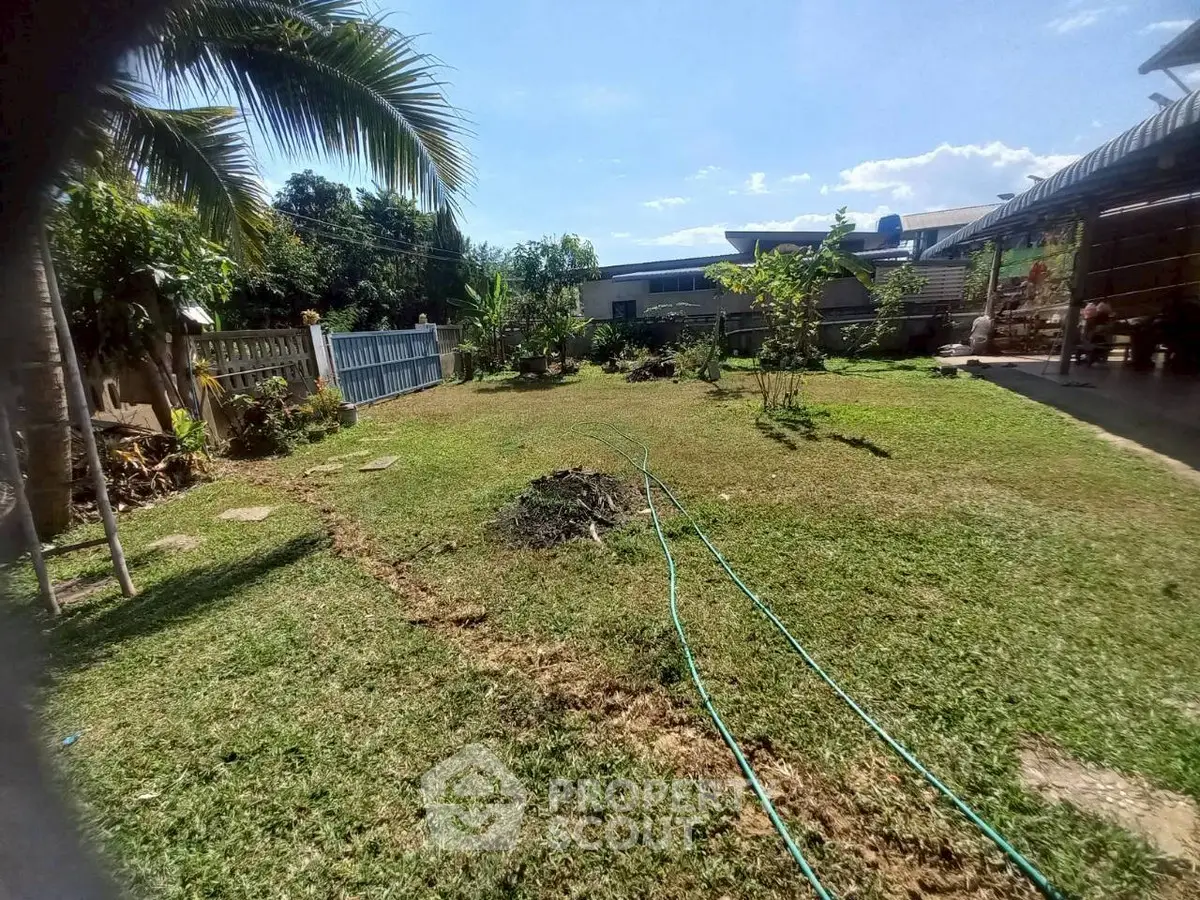 Spacious backyard garden with lush greenery and tropical plants, perfect for outdoor relaxation.