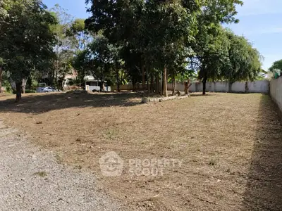 Spacious vacant land with mature trees, ideal for development or landscaping opportunities.