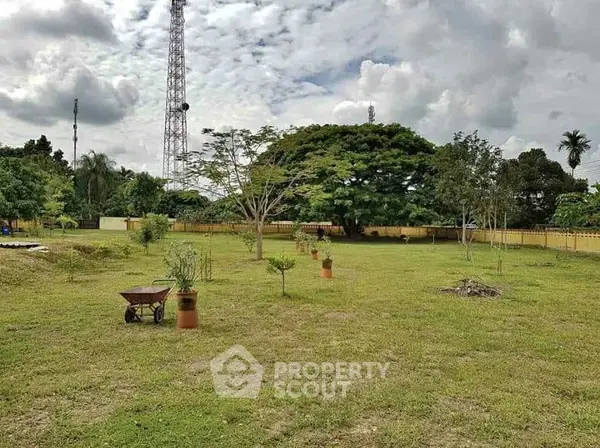 image_rental-16532891