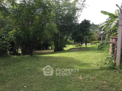 Spacious lush green garden with mature trees, perfect for outdoor activities and relaxation.