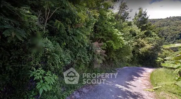 image_rental-10210070