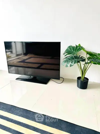 Modern minimalist living room with sleek TV and stylish plant decor