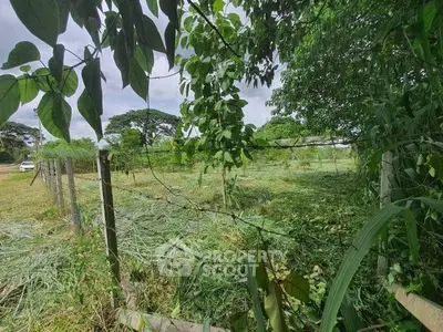 Lush green land plot with potential for development, surrounded by nature and tranquility.