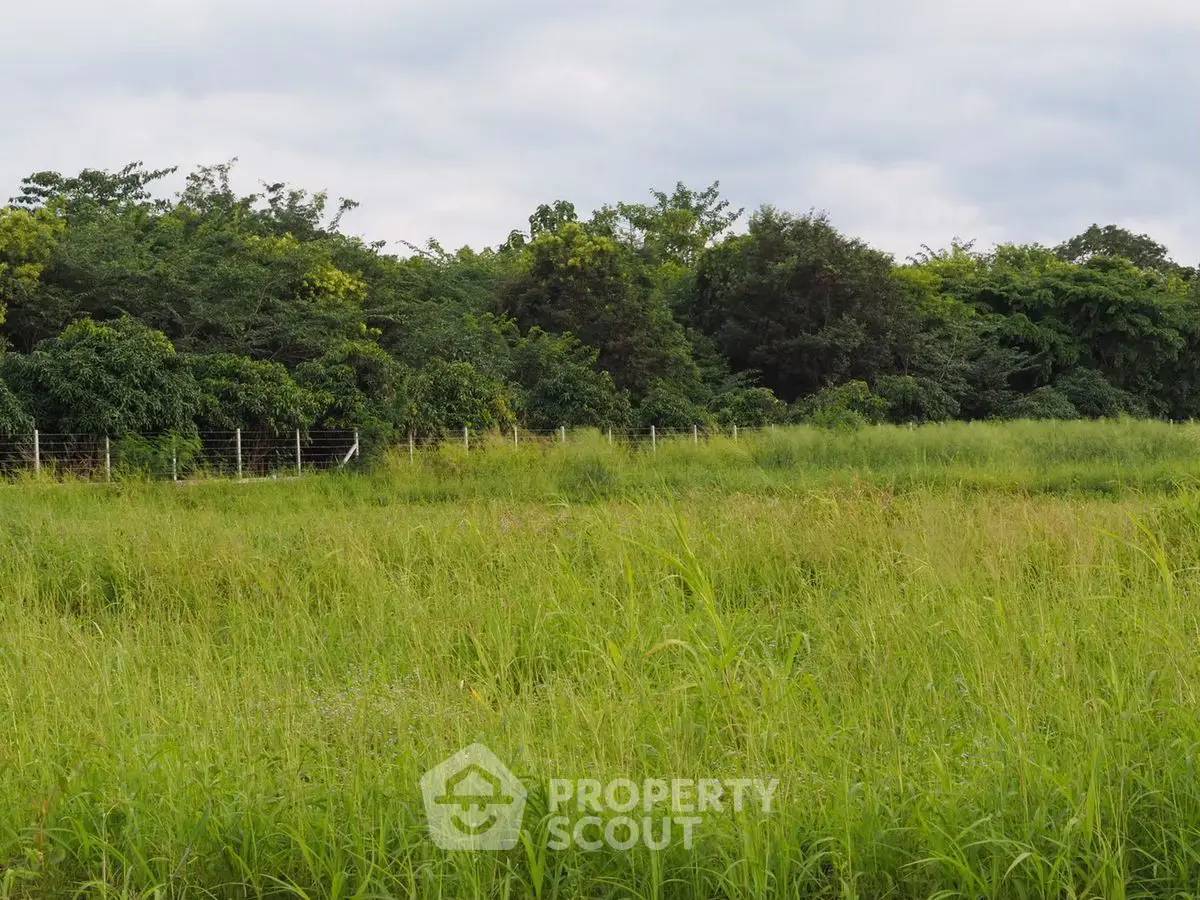 Expansive green field with lush trees, perfect for development opportunities.