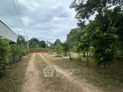 Expansive garden view with lush greenery and a rustic driveway, perfect for nature lovers.