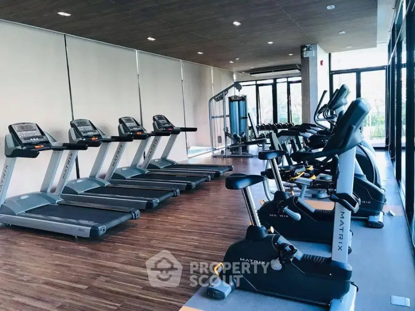 Modern gym with state-of-the-art fitness equipment and large windows for natural light.