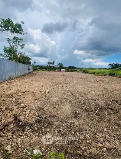 Spacious vacant land with lush surroundings, perfect for development opportunities.