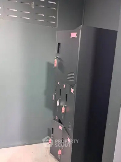 Secure storage lockers in a modern building, ideal for personal or business use.