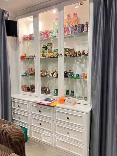 Stylish display cabinet with collectibles in a modern living room setting.