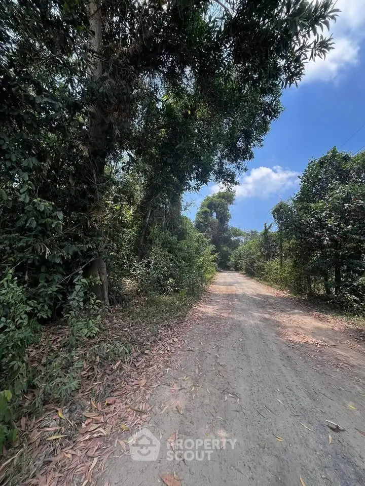Scenic dirt road surrounded by lush greenery and trees under a clear blue sky.