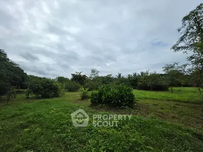 image_rental-27237765