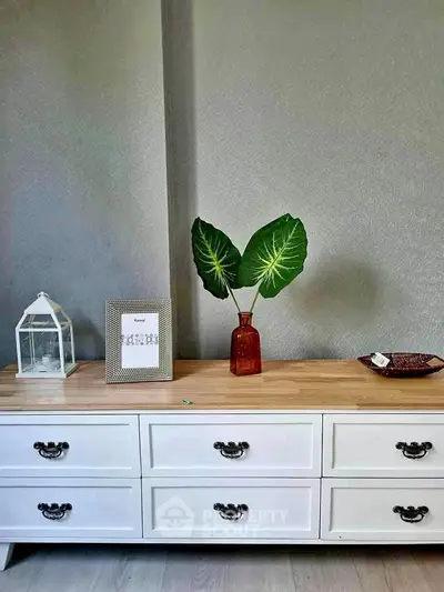 image_rental-28439459