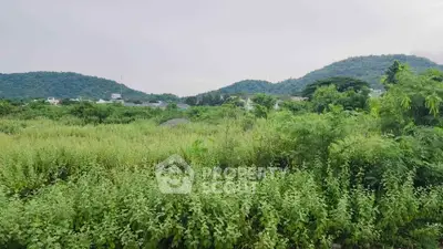 Scenic view of lush green land with hills in the background, ideal for real estate development.