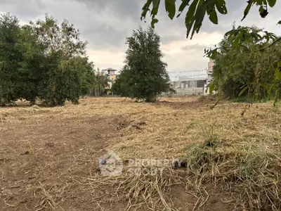 Expansive plot of land with lush greenery, ideal for development opportunities.