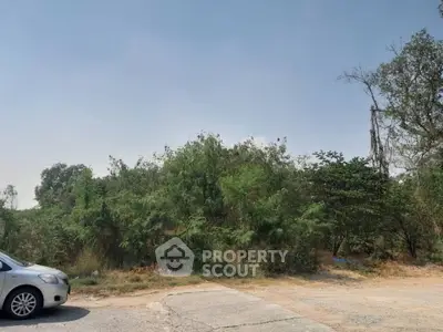 Spacious land plot with lush greenery, ideal for development or investment opportunities.