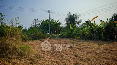 Spacious land plot with lush greenery and clear sky, ideal for development or agriculture.