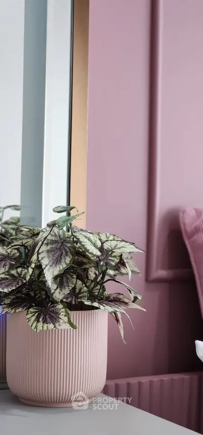 Stylish interior with pink walls and potted plant, perfect for modern living spaces.