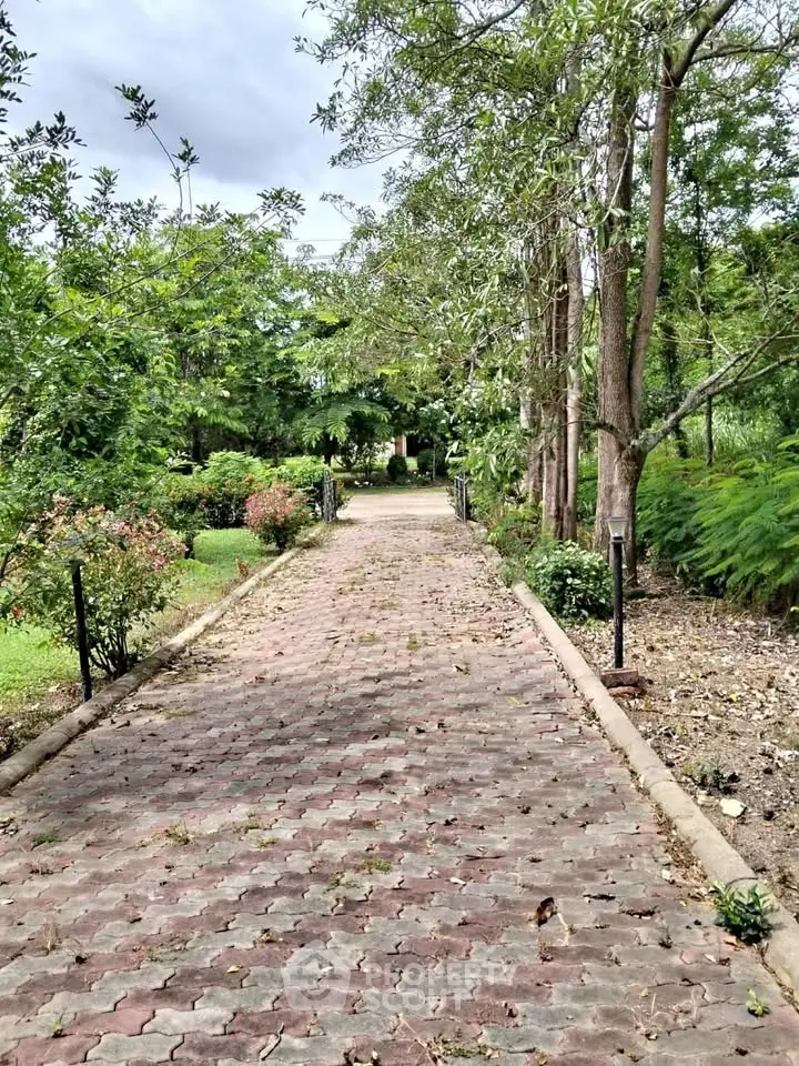 Charming garden pathway with lush greenery and serene ambiance.