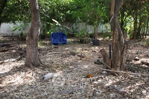 image_rental-31406794