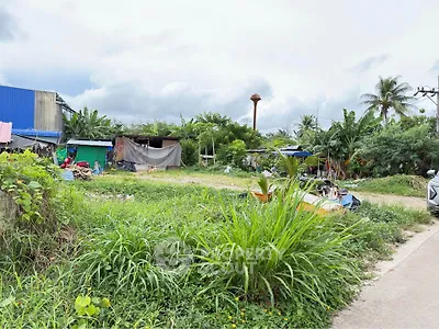 Expansive land plot with lush greenery and potential for development in a serene setting.