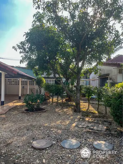 Charming garden area with mature trees and gravel pathway in a serene residential setting.