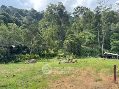 Scenic view of lush green landscape with trees and open space, perfect for nature lovers.