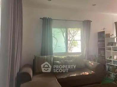 Cozy living room with comfortable sofa and natural light