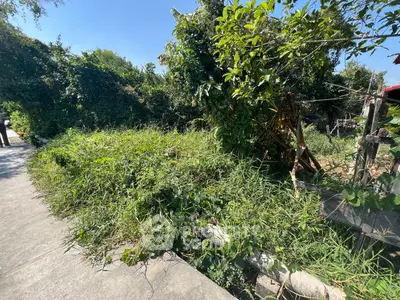 Vacant land plot with lush greenery and potential for development