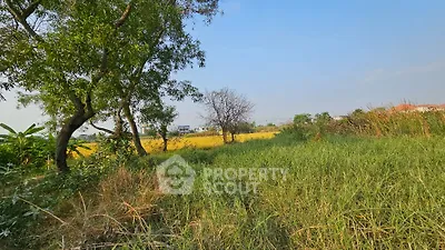 image_rental-16552510