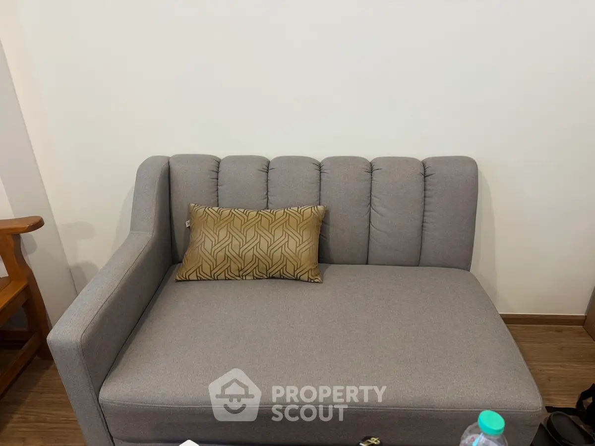 Cozy modern living room with stylish gray sofa and decorative pillow