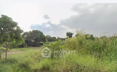 image_rental-29234465