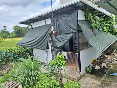 image_rental-31536263