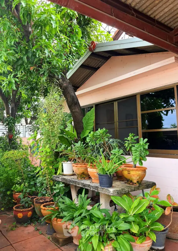 image_rental-24419809