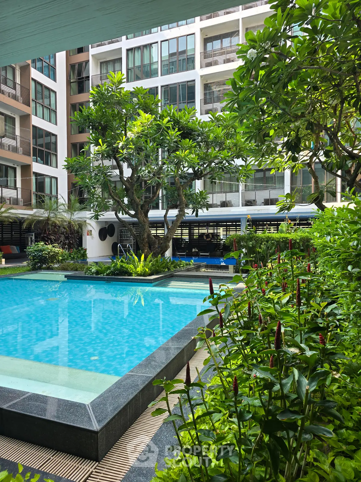 Luxurious residential pool surrounded by lush greenery and modern apartment buildings.