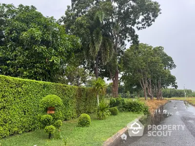 Lush green garden with manicured hedges and tall trees lining a serene road.