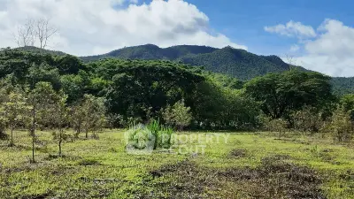 image_rental-30363365