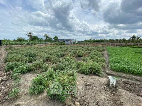 image_rental-27236734