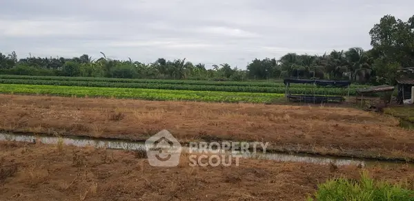 image_rental-12670013