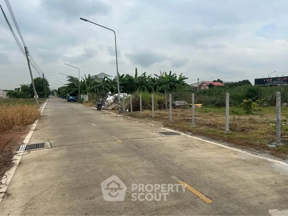 Spacious land plot with road access and lush greenery, ideal for development opportunities.