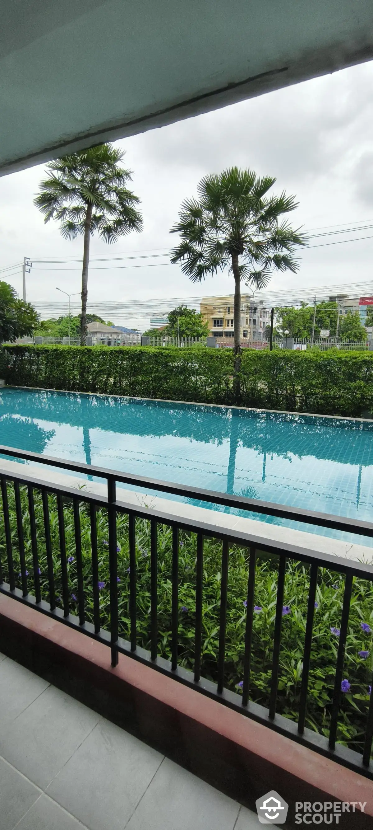 Luxurious poolside view with lush greenery and palm trees, perfect for relaxation and leisure.