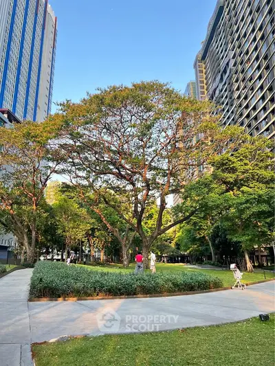 image_rental-31808980