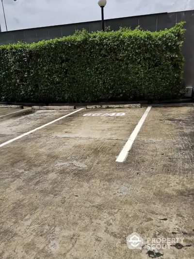 Spacious parking area with lush green hedge and clear markings