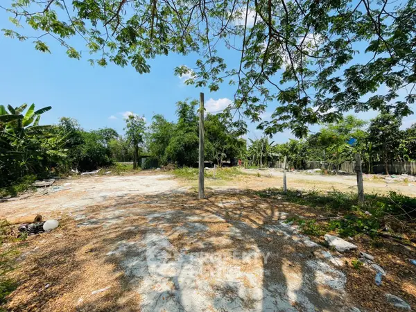 image_rental-16527434